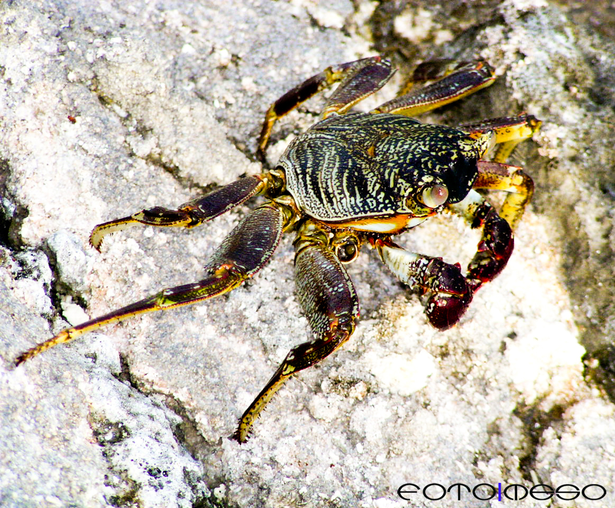 Maldives (6 of 13) edit